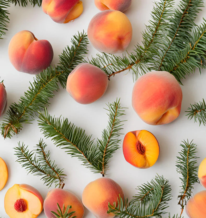 Sapin blanc & pêche