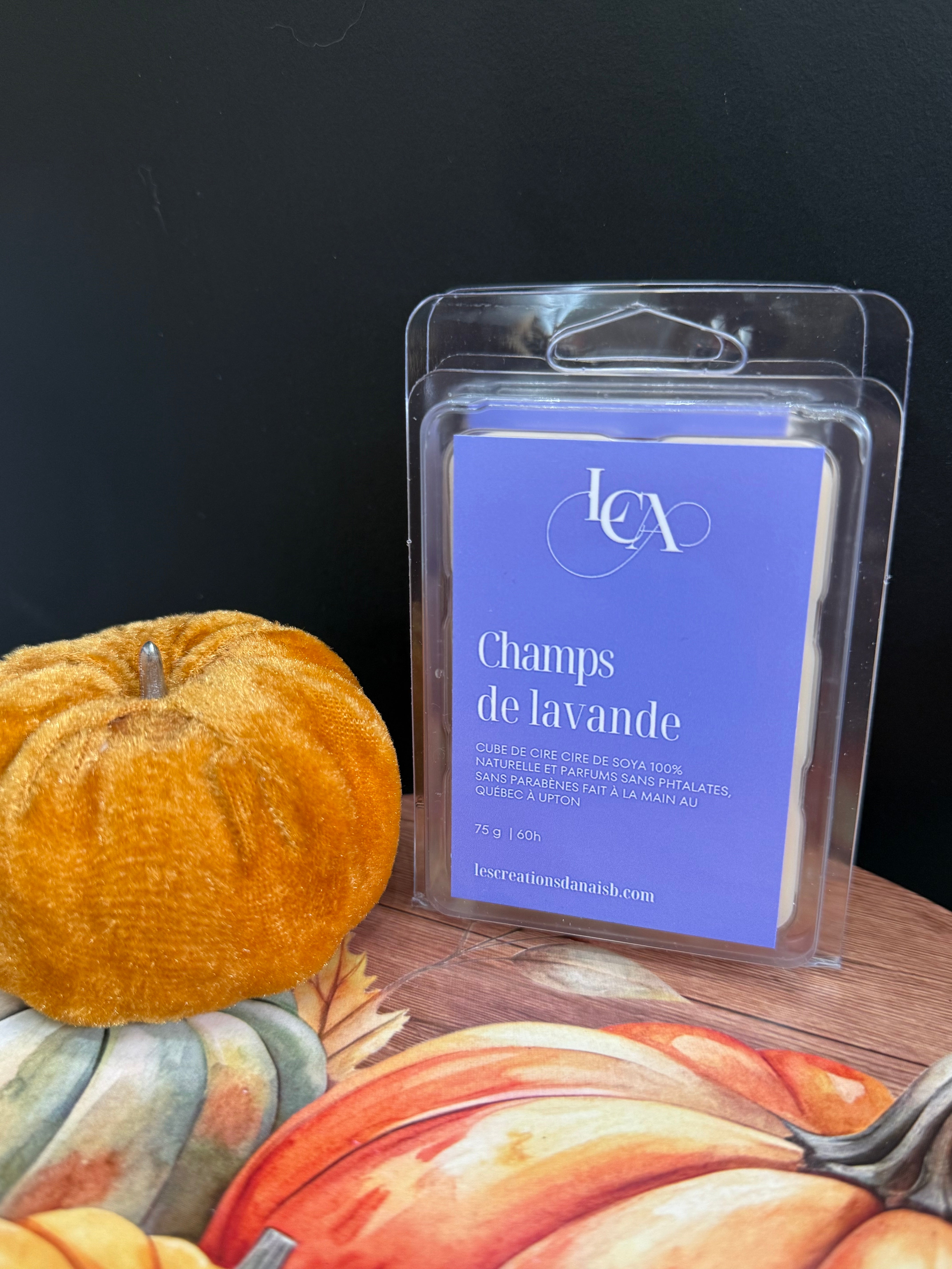 Champs de lavande