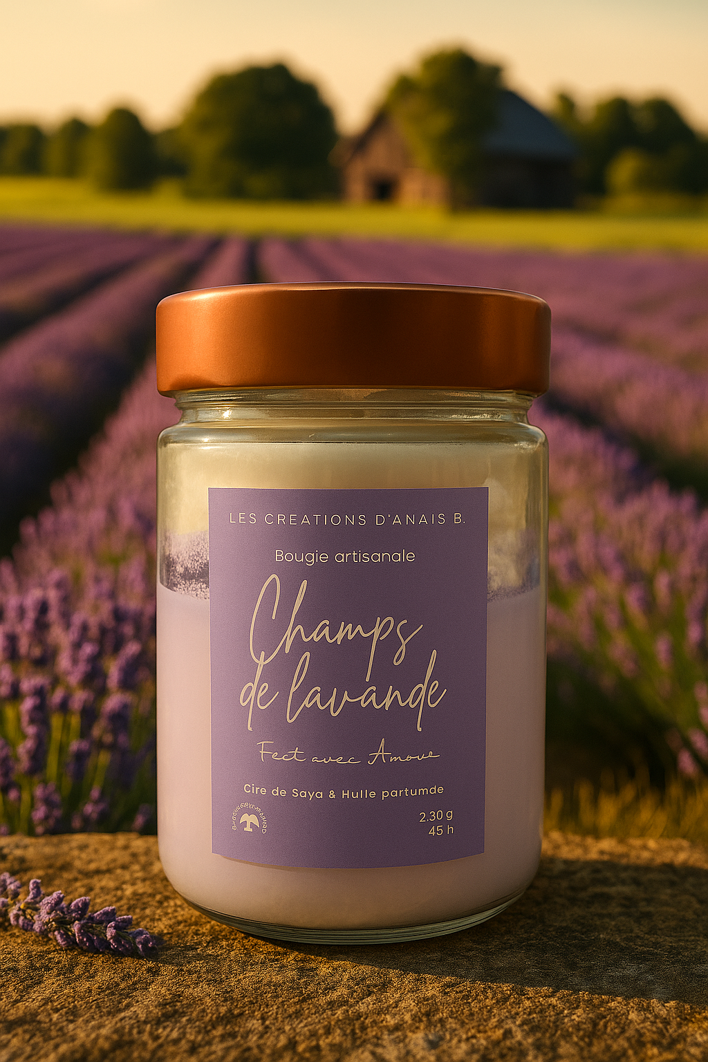 Champs de lavande